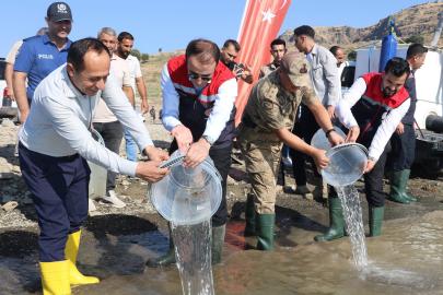 Şırnak'ta 900 bin yavru şabut Ilısu Baraj Gölü’ne  bırakıldı